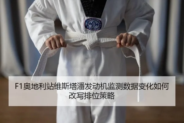 ao-di-li-zhan-wei-si-ta-pan-fa-dong-ji-jian-ce-shu-ju-bian-hua-ru-he-gai-xie-pai-wei-ce-lve-2-925.jpg